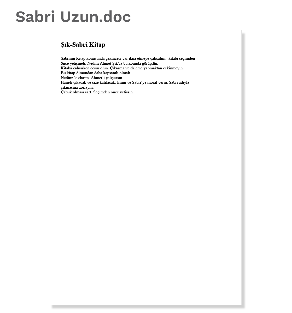 Document 6: Sabri Uzun.doc